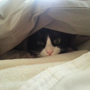 Meet your Posher, Carrie